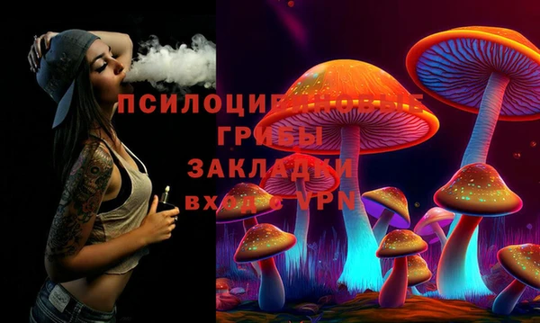 PSILOCYBIN Армянск